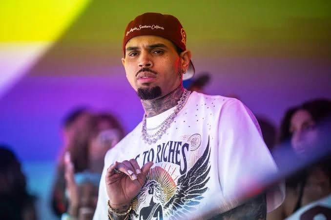 Chris Brown Fights Debtor Exam In Housekeeper Dog Attack Case