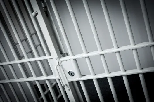 13 Year Old Florida Boy Charged With Kidnapping Women
