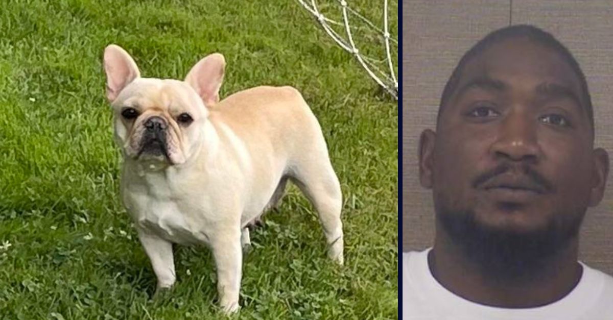 FedEx Driver Steals French Bulldog And Leaves Her In Truck To Die